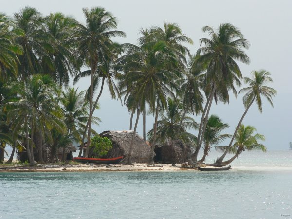 49- Habitation au  bord de l'eau 